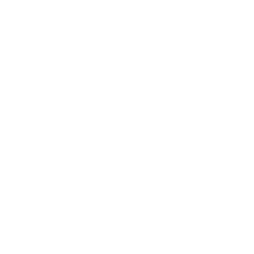 NEWCONNECTIONS-PNG-WHITE.png